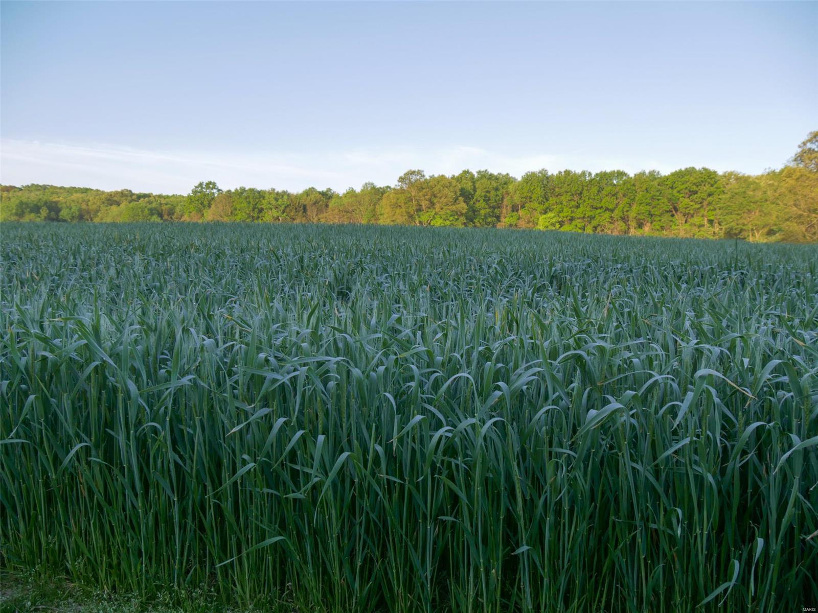 N/A - Farm