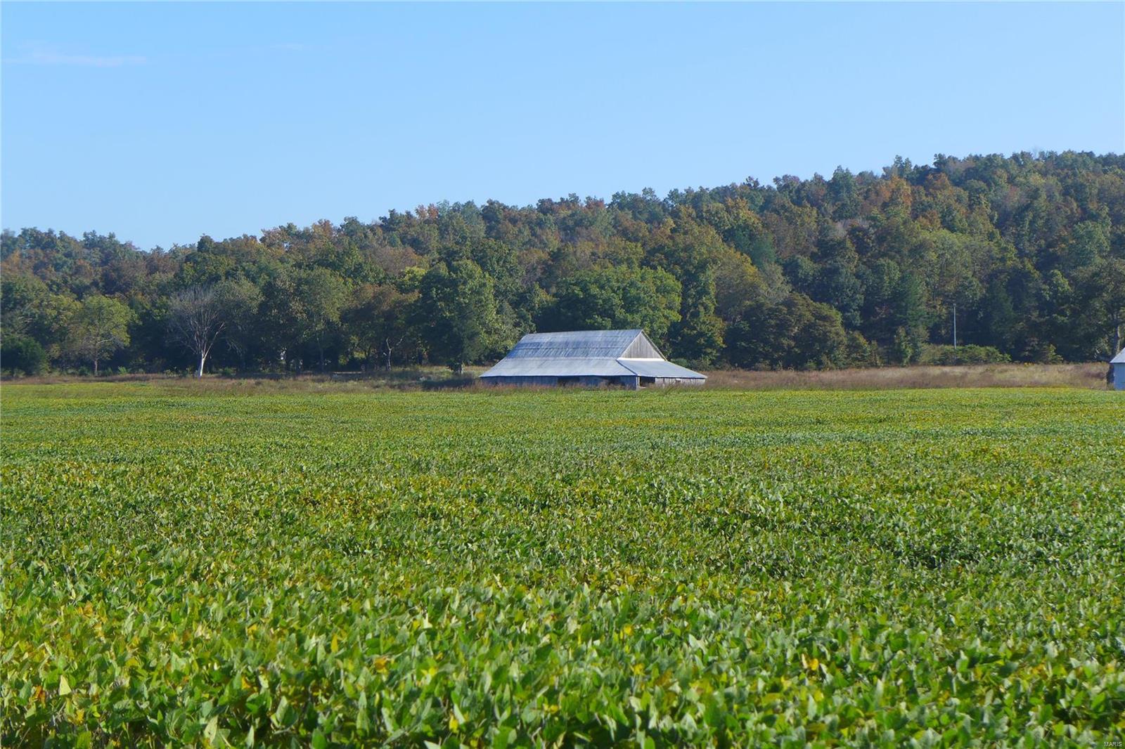 419 acres of income producing Castor River bottom land. Approximately 350 acres currently in row crop production, over 1/4 mile of prime Castor River frontage, 3400' of Trace Creek frontage and two equipment/hay barns. With multiple home sites and over a mile of blacktop frontage, this is a top notch farm with tons of recreational opportunities as well. From fishing for pre spawn smallies in the spring to swimming and kayaking all summer long. From waiting for a rutting buck in the river bottom this fall to hunting the slew for mallards in early winter. If you love the outdoors, this place is one of a kind!