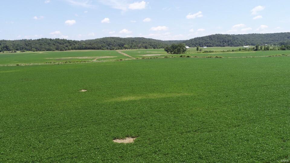 N/A - Farm