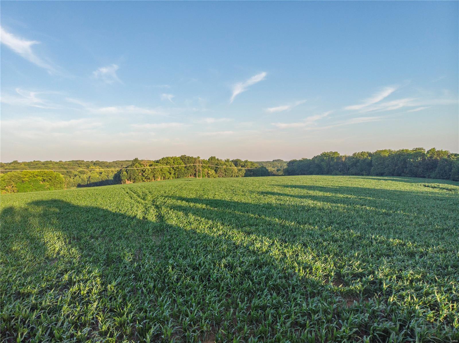 Farms like this don’t come to the market very often in Ralls County, Missouri, so here is your chance – don’t miss out! This is a must-see farm tract with great income and hunting in the heart of big buck country. Take a look at the aerial photo and you will immediately notice that this farm hunts extremely large with so many possibilities on stand locations and food plots. Several people can easily hunt at the same time and have plenty of space. A quick glance at trail camera history and you will see that this farm will produce big bucks year after year! The fields are surrounded by a big block of timber where deer and turkeys feel secure to feed. Very few farms can be hunted on almost any wind direction making this farm a gem! There are multiple entrances on the south side of the farm coming off Kingsville Lane offering easy access for equipment, access for hunting, or even to build! 

*Two Tracts Available* (Subject to survey)
Tract #1 - 139 +/- Acres 
Tract #2 117.9 +/- Acres
