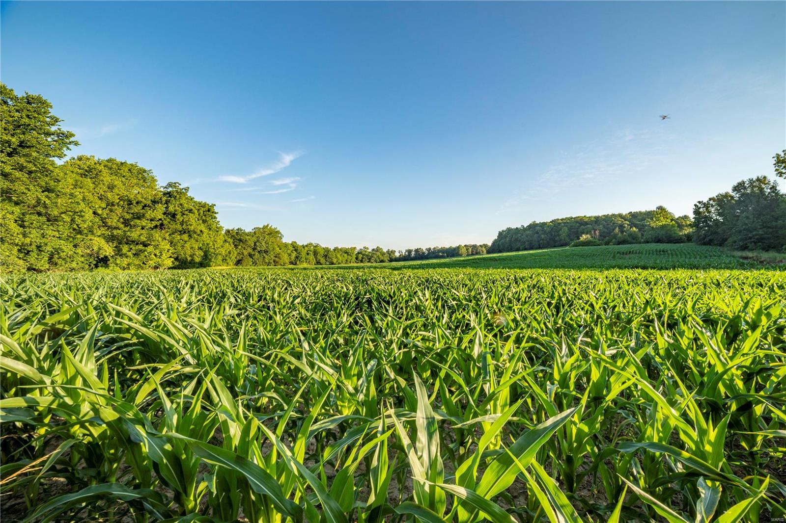 N/A - Farm
