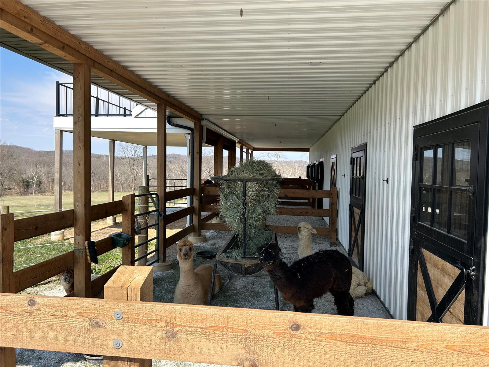 Brennan - Farm