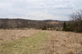 221.63 surveyed acres w/ 3BR/1BA earth home & metal shop building w/ cement floor.  Property developed as income producing hunting property. Located in the sweet spot of Pike County, MO, less than one mile from Malinmor Hunt Club. Several large tract landowners practice QDM in this area. If you are serious about an opportunity to own the right tract, in the right area, do not let this one slip away! Additional points of access available to the property, as well as possible building sites w/ incredible views of the rolling hills of Pike County. Stocked fishing pond will provide year round fun for the family, & plans are available to build a 7-9 acre lake. Home updated in the past year w/ county water, all new plumbing, carpeting & flooring, drywall, paint, fans, window treatments, new hot water heater, & new lighting in the shop. 45+/- acres are currently in crop production. 2 redneck blinds, & 6 ladder stands will convey w/ property. Property is turnkey and ready to hunt this season.