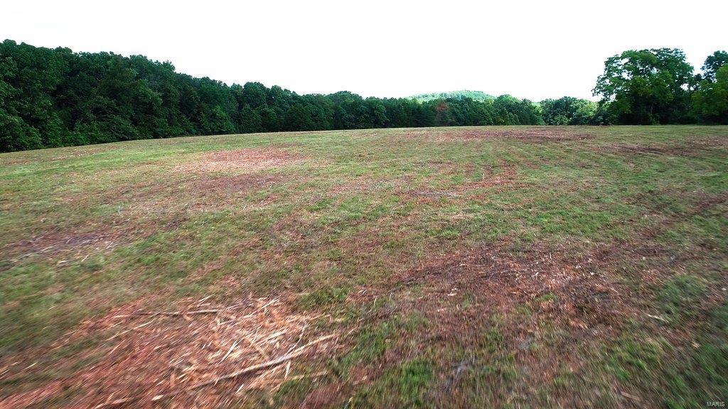 None - Farm