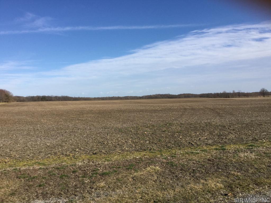 DEVELOPMENT POSSIBILITIES ACROSS IBERG RD FROM CAMBRIDGE MEADOWS. FRONTAGE ON IBERG & PLOCHER WAY. TRI TOWNSHIP WATER ON EAST SIDE OF IBERG & HIGHLAND WATER ON WEST. NATURAL GAS LINE ON IBERG FROM NORTH UP TO PLOCHER WAY & CAN BE EXTENDED. PLOCHER WAY IS TOWNSHIP MAINTAINED. SUBJECT TO TENANTS RIGHTS: NO WRITTEN LEASE, SELLER RECEIVES 1/3 CROP.