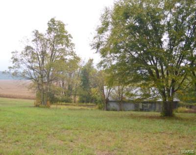 Total property consists of 137 +/- acres.  25 Acres can be purchased for $637,500 (10 of these acres are not in flood plain)  The remaining acreage of 112 acres can be purchased at $8800 per acre - 
The property has a home with a tenant currently and a few barns/outbuildings.  Farmland is currently leased for crops.
This would be great for a nursery, farmland, horse farm, sod farm, many uses and has access to the Meramec River.