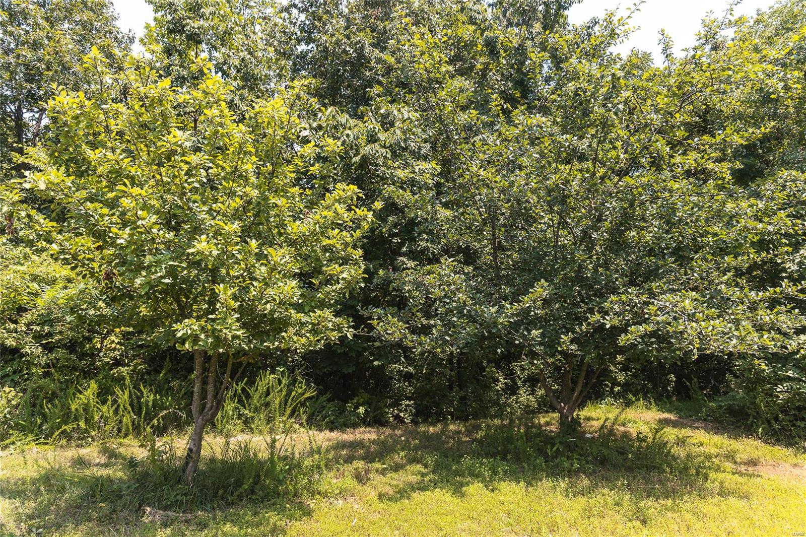 Not in a subdivision - Residential