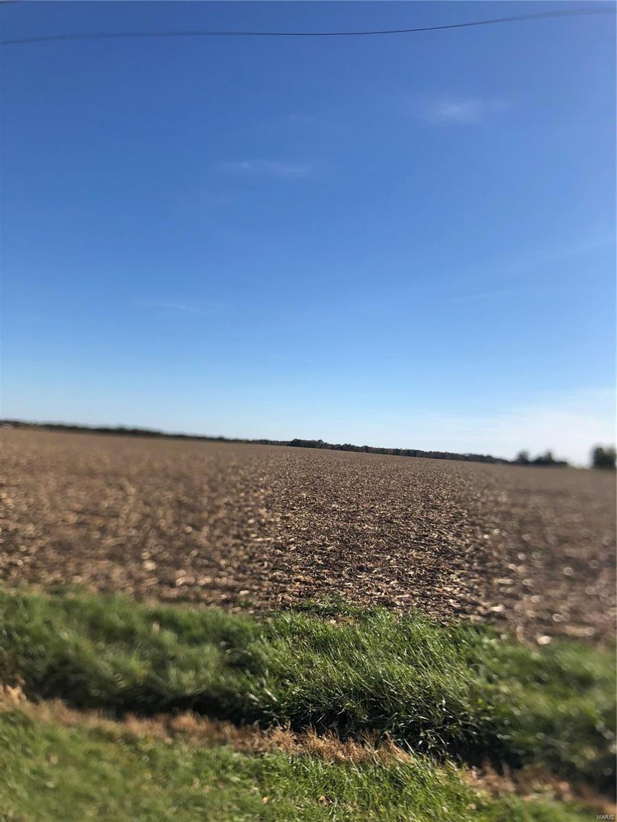 Rural Bond County - Farm