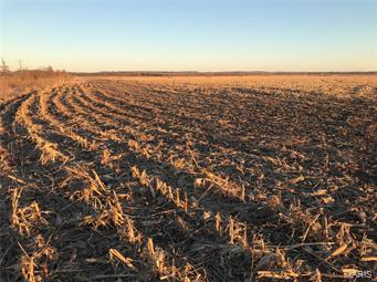 N/A - Farm