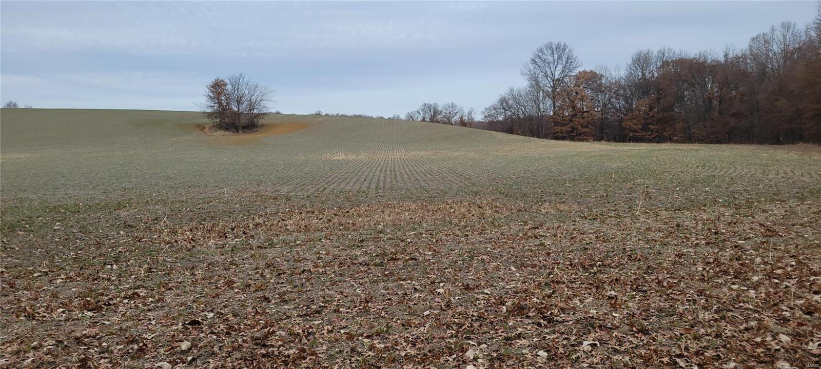 none - Farm