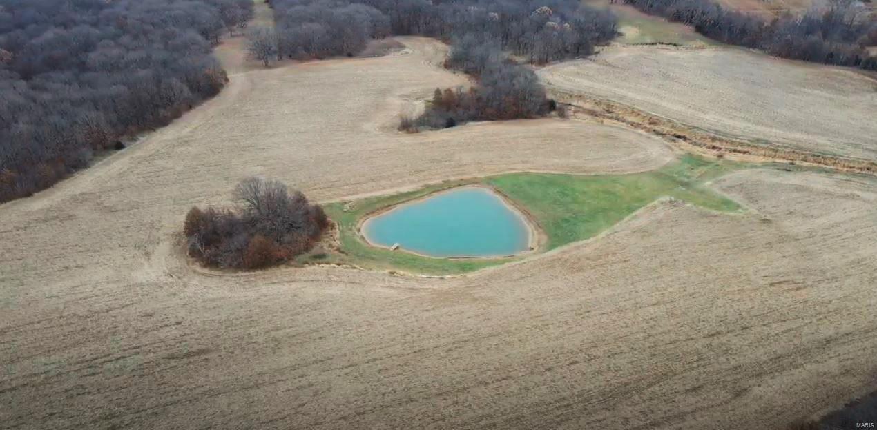 none - Farm