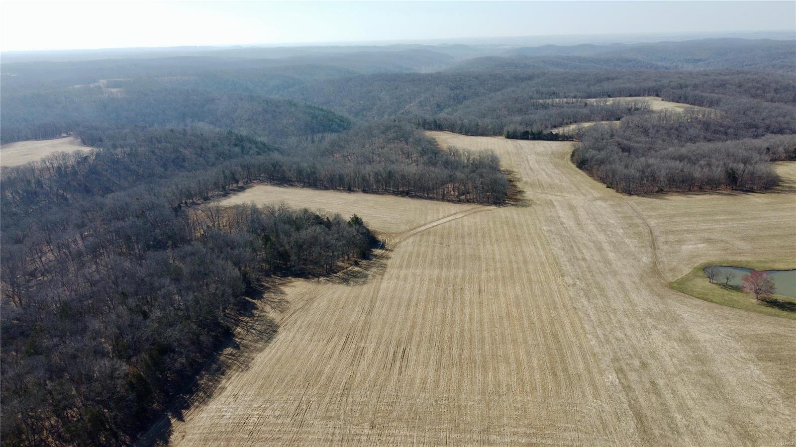 Welcome to a getaway to let your imagination run wild. This farm sets at a dead end road with a newly constructed road onto the farm. Electric is being added to the farm as well along the new road in. There is just over 110 acres of open ground that was in tillable last year. Was just vertical tilled and seeded. As you come in to the farm you start to see the open ground with the beautiful hardwood edging the fields. As you head further back into the farm you will see the land is rolling hills with some bigger terrain in the timber. There are many sites for building that getaway cabin or your future forever home. Several creeks line the edge of the property with a pond as well. A farm like this has so many possibilities. Along with the beautiful land it is filled with wildlife. Lined with deer and turkey this truly is a perfect recreational hunters paradise to hold and grow deer. Seller is willing to divide the land into smaller lots ranging from 50-80 acres.