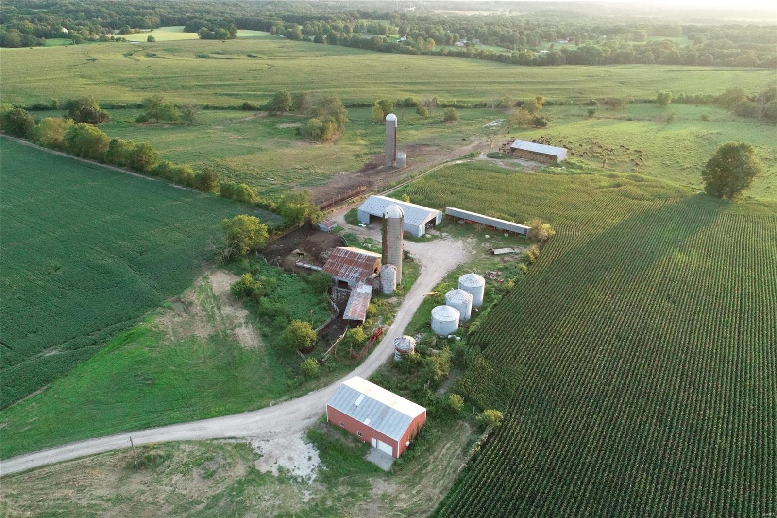 none - Farm