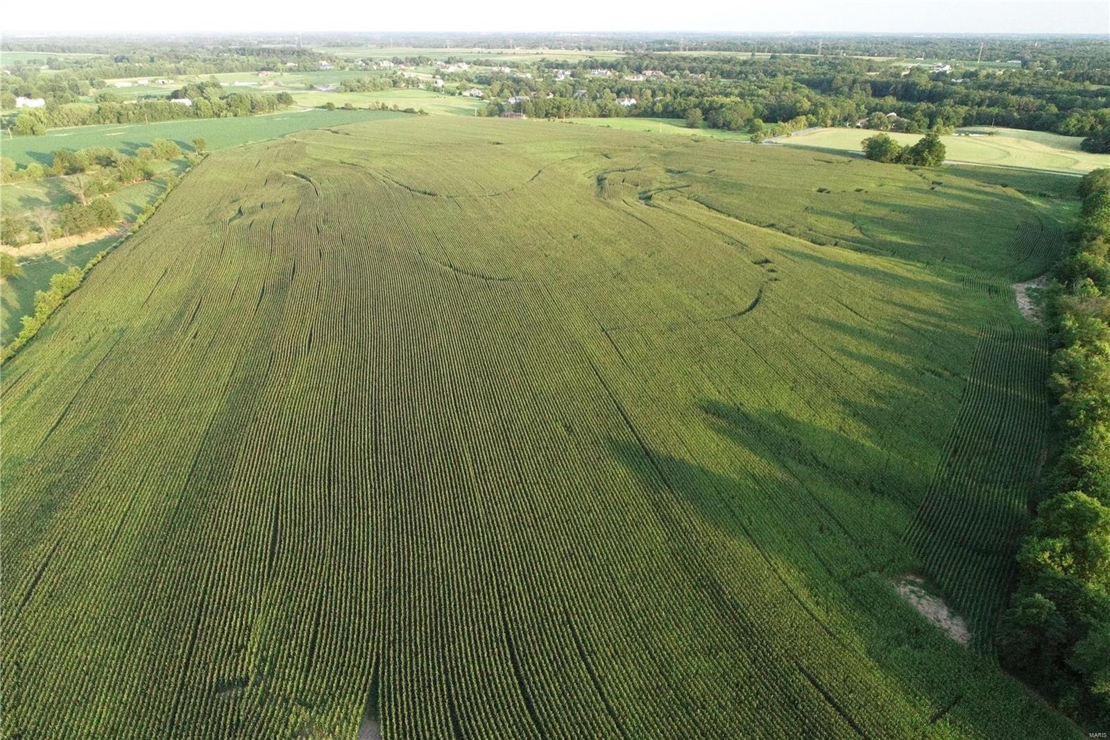 none - Farm
