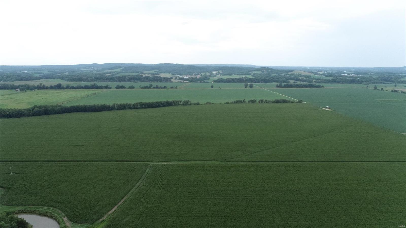 - - Farm