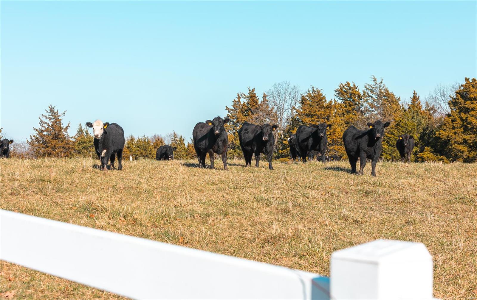 n/a - Farm