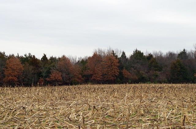 None - Farm