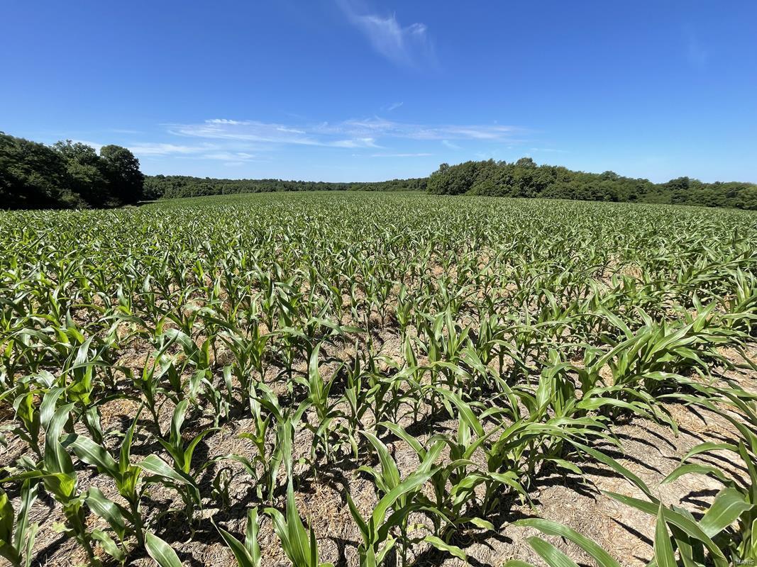 N/A - Farm