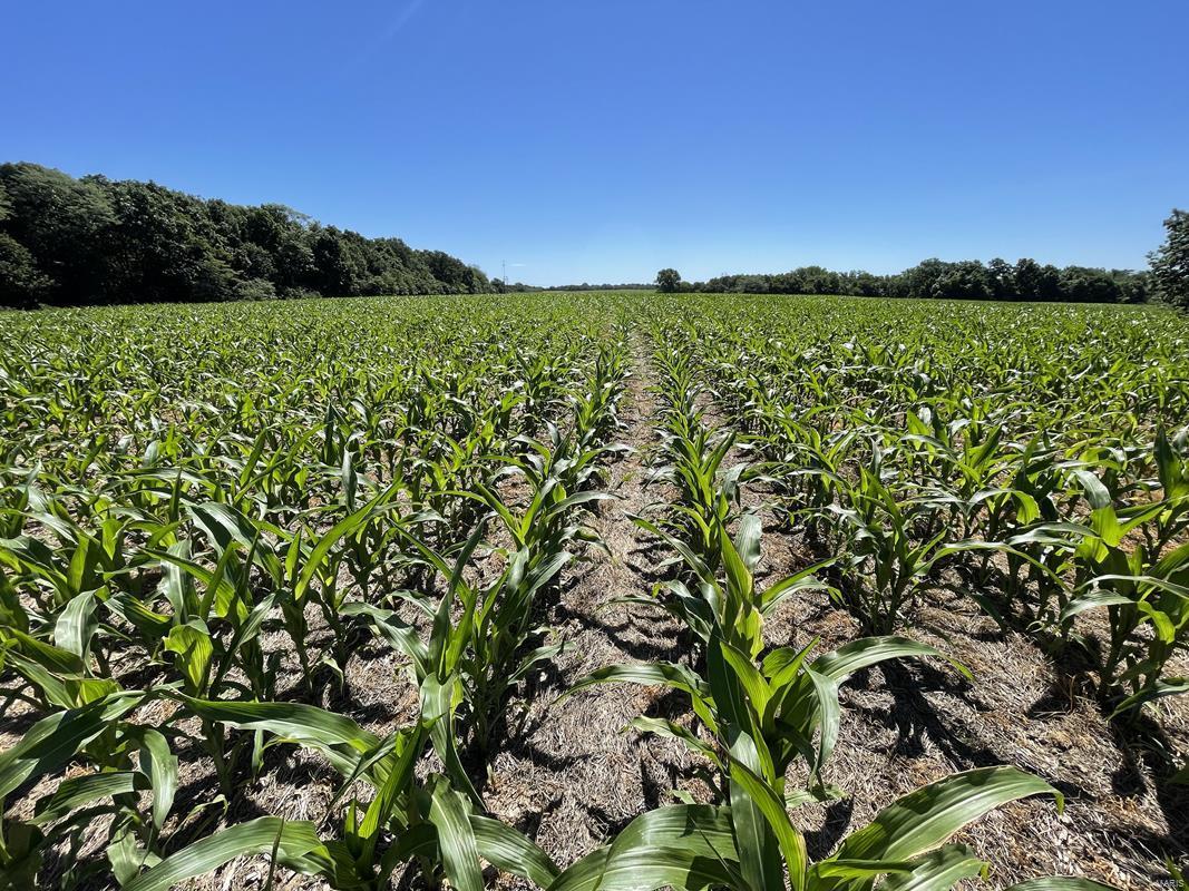 N/A - Farm