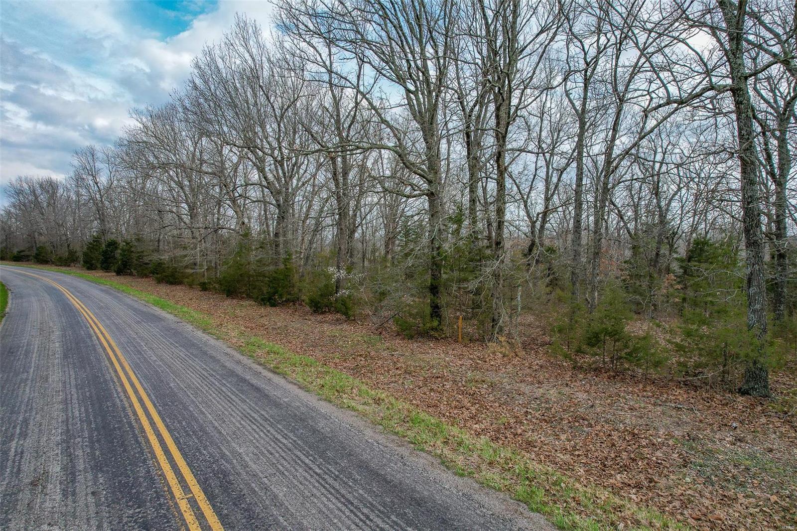 Are you ready to build your dream home with a walk out basement?  This is the perfect tract of land for you!  10 Full acres very close to the river for the fisherman at heart and located on blacktop!