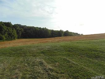 NOT IN A SUBDIVISION - Farm