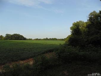 NOT IN A SUBDIVISION - Farm