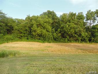 NOT IN A SUBDIVISION - Farm