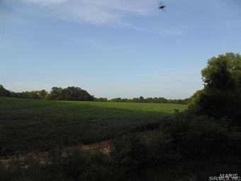 NOT IN A SUBDIVISION - Farm