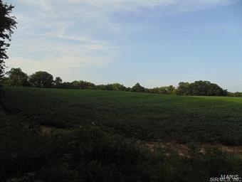 NOT IN A SUBDIVISION - Farm