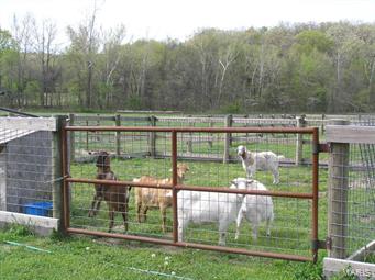 N/A - Farm