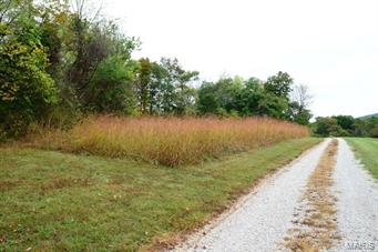 Potosi - Farm