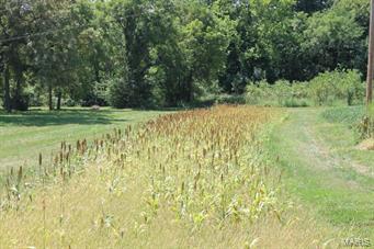 Potosi - Farm