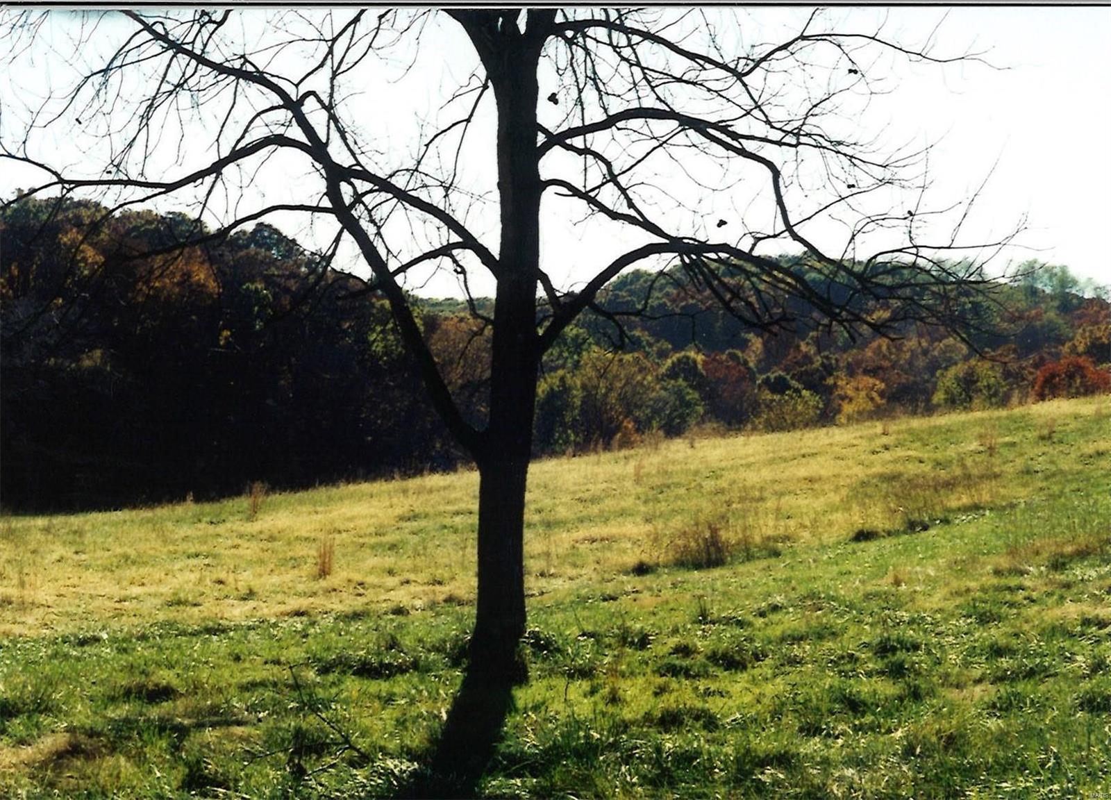 None - Farm