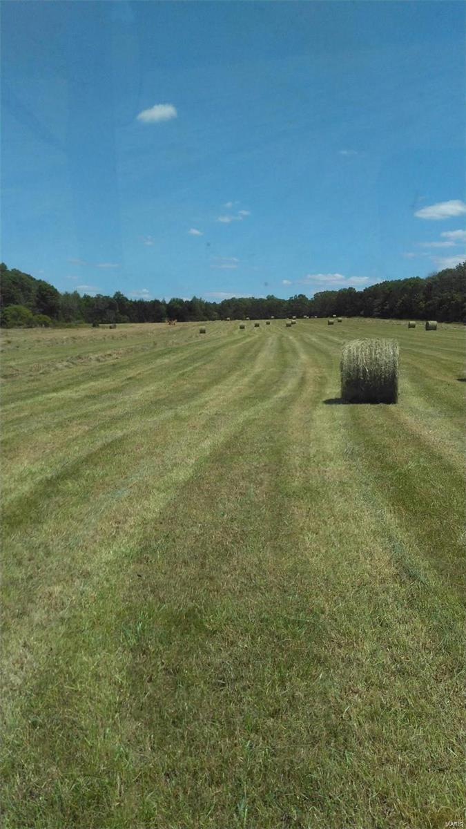 none - Farm