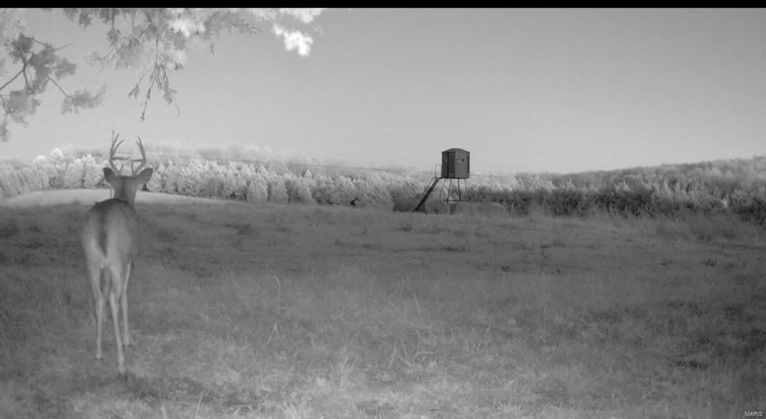 none - Farm