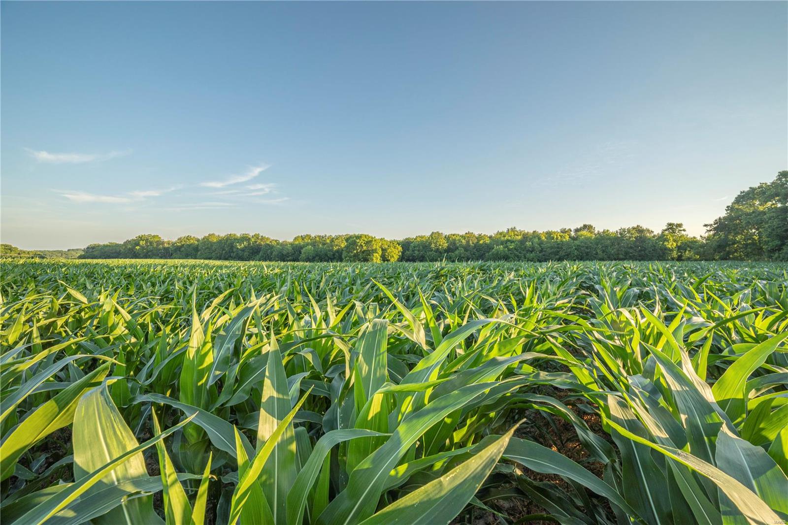 N/A - Farm