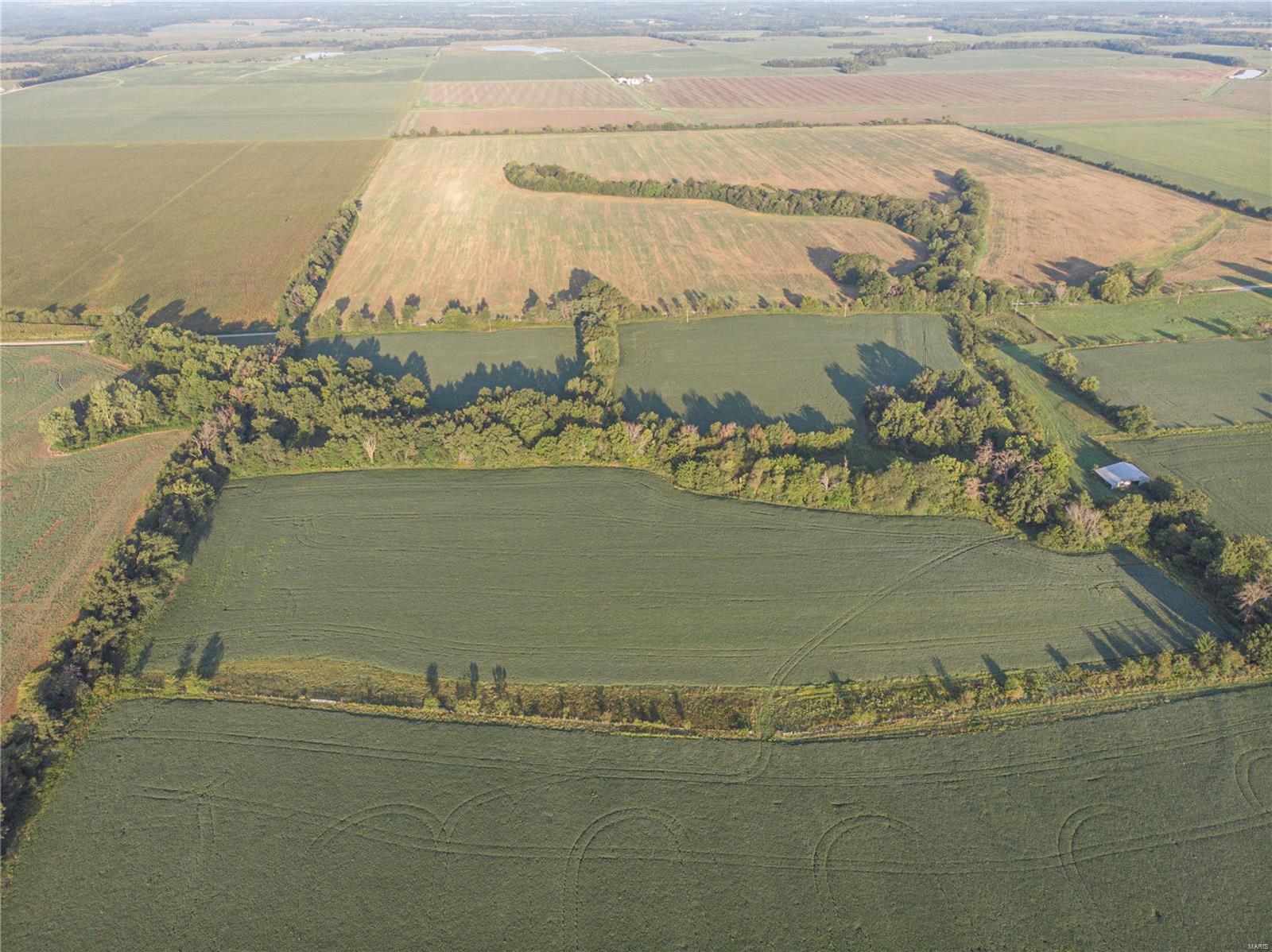 N/A - Farm