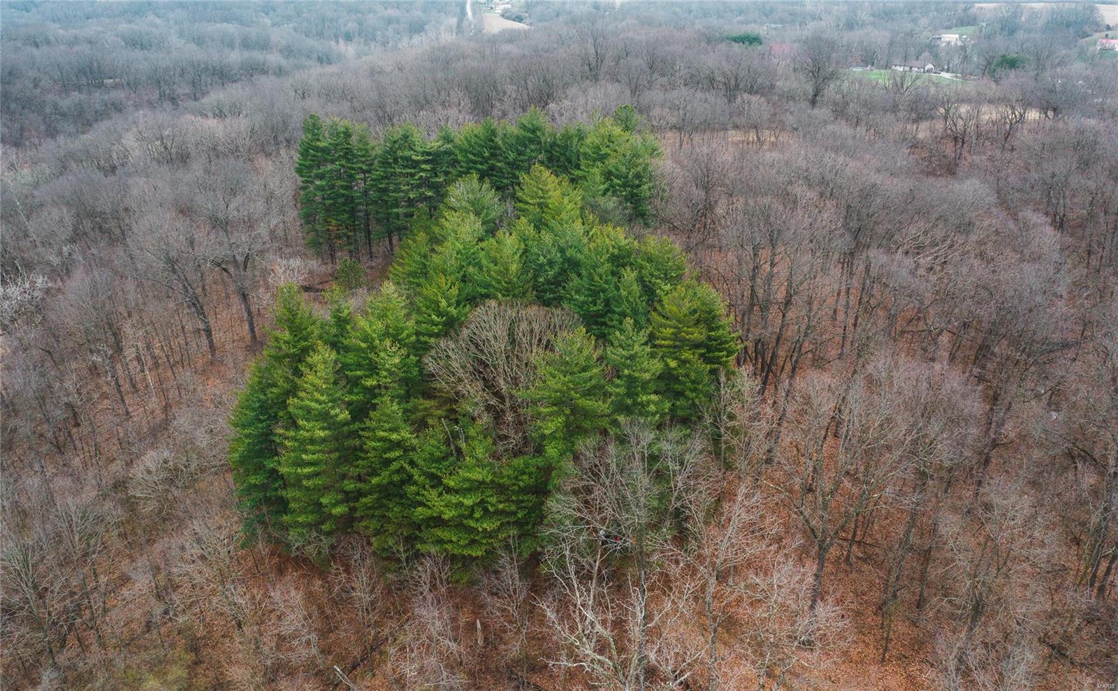 Not in a subdivision - Farm