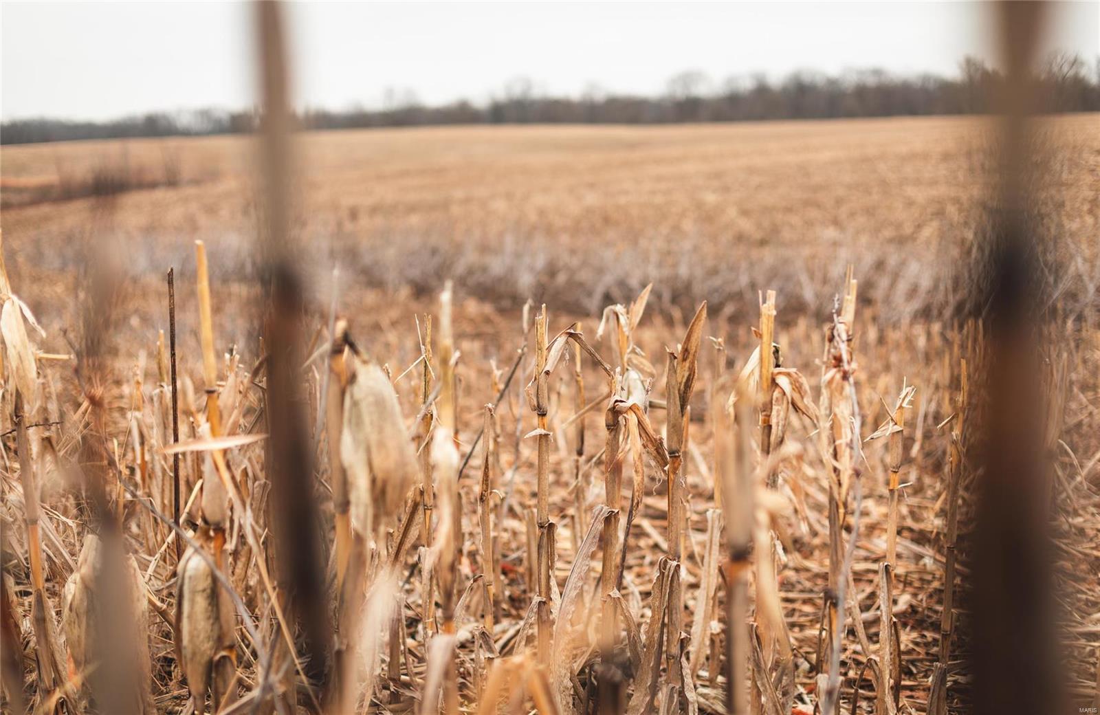 Not in a subdivision - Farm