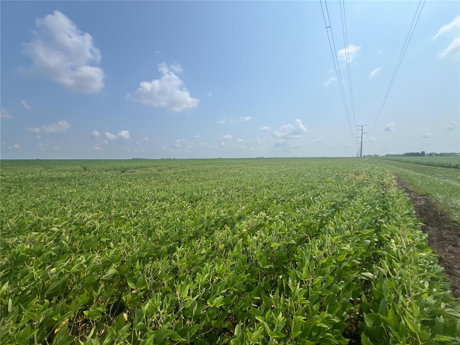 Sullivan Township - Farm