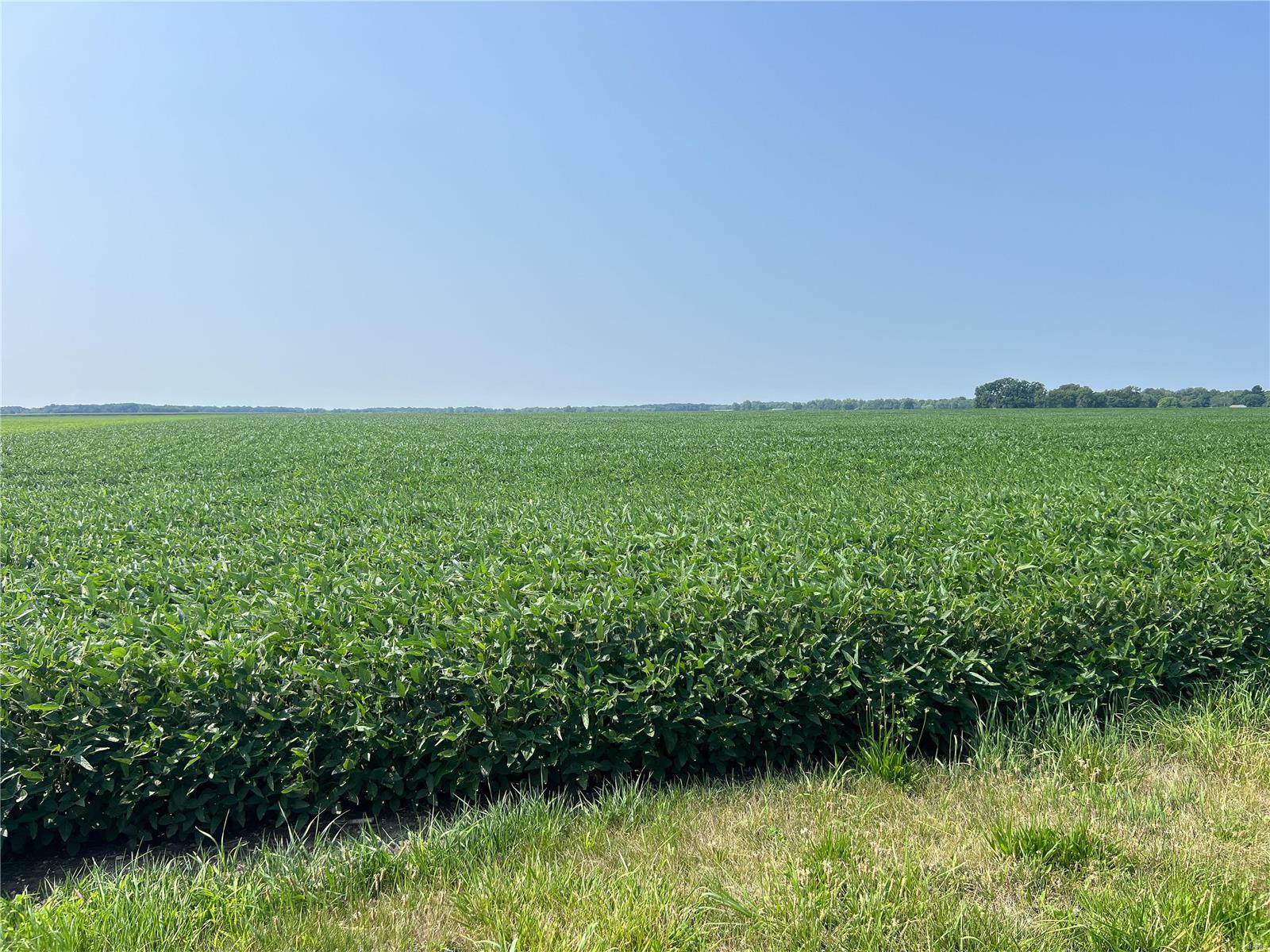 Sullivan Township - Farm