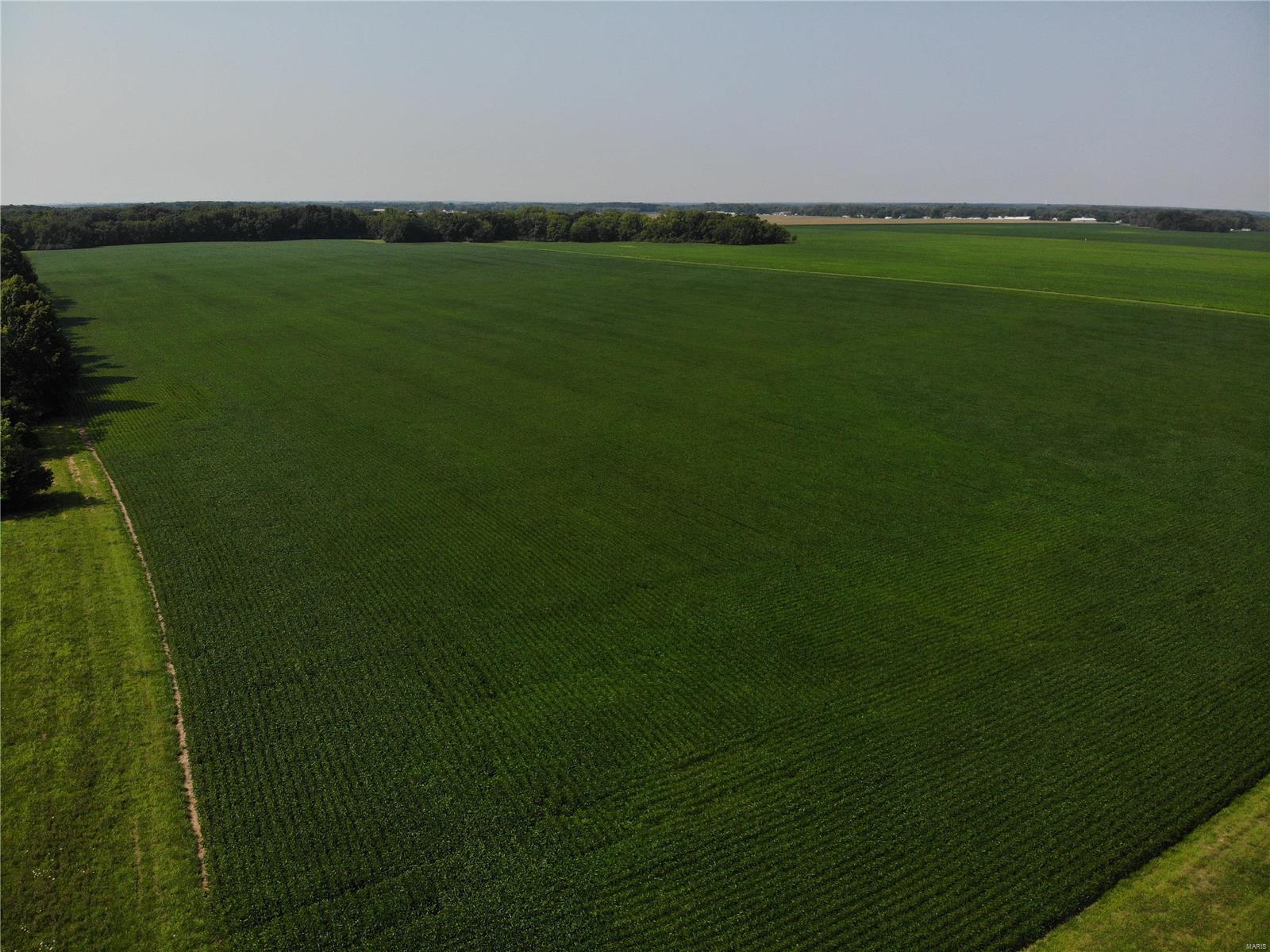 Sullivan Township - Farm