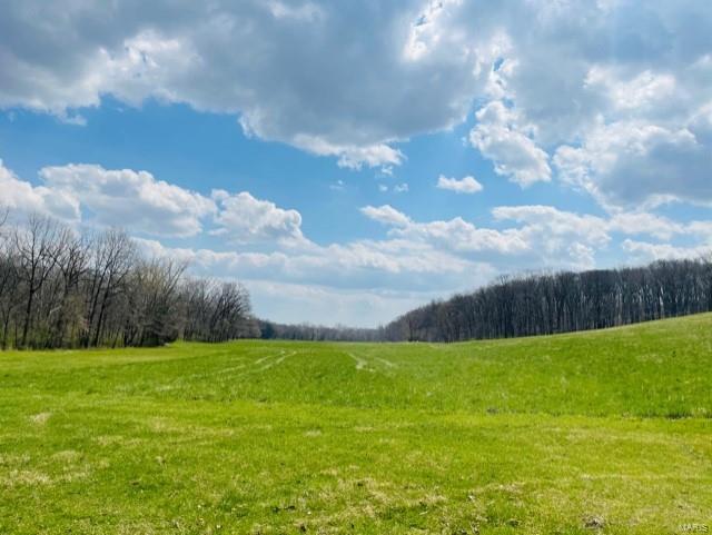 - - Farm