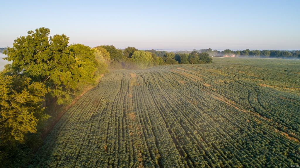 n/a - Farm