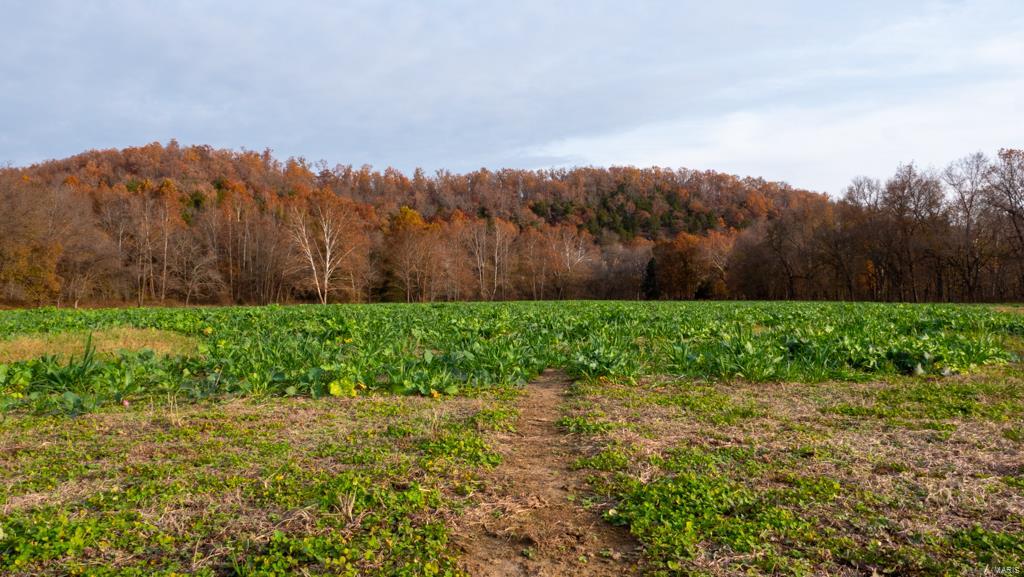 NA - Farm