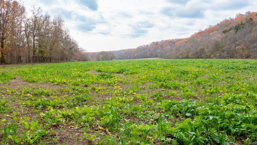 NA - Farm