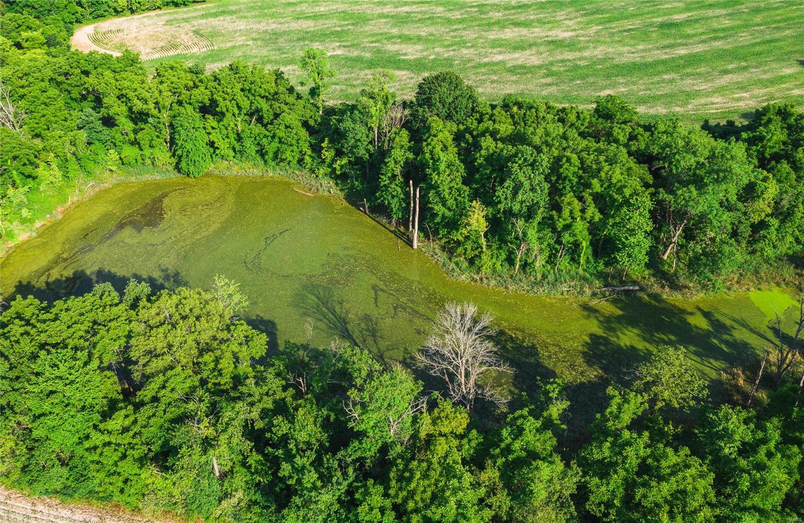 NOT IN A SUBDIVISION - Farm