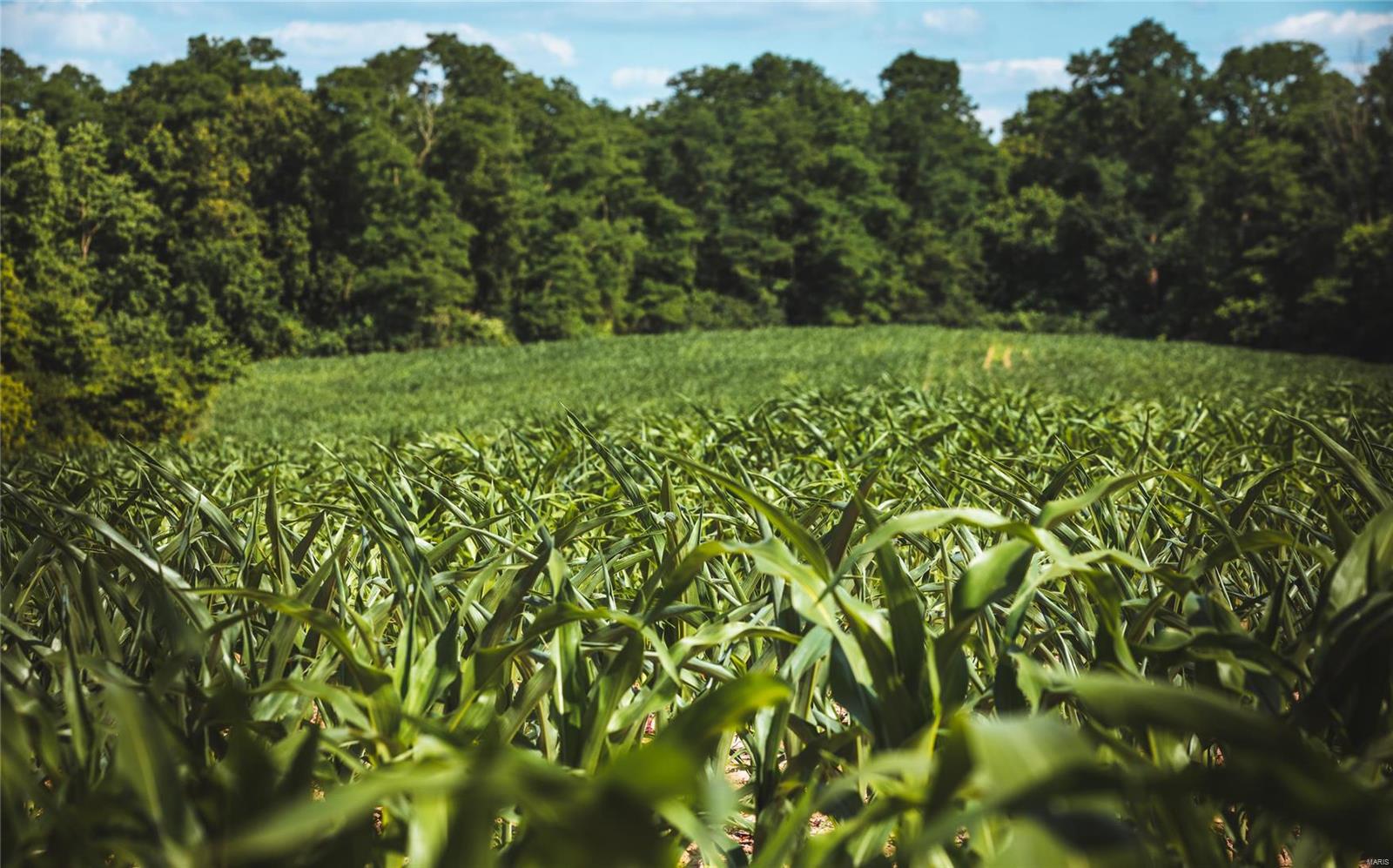 NOT IN A SUBDIVISION - Farm