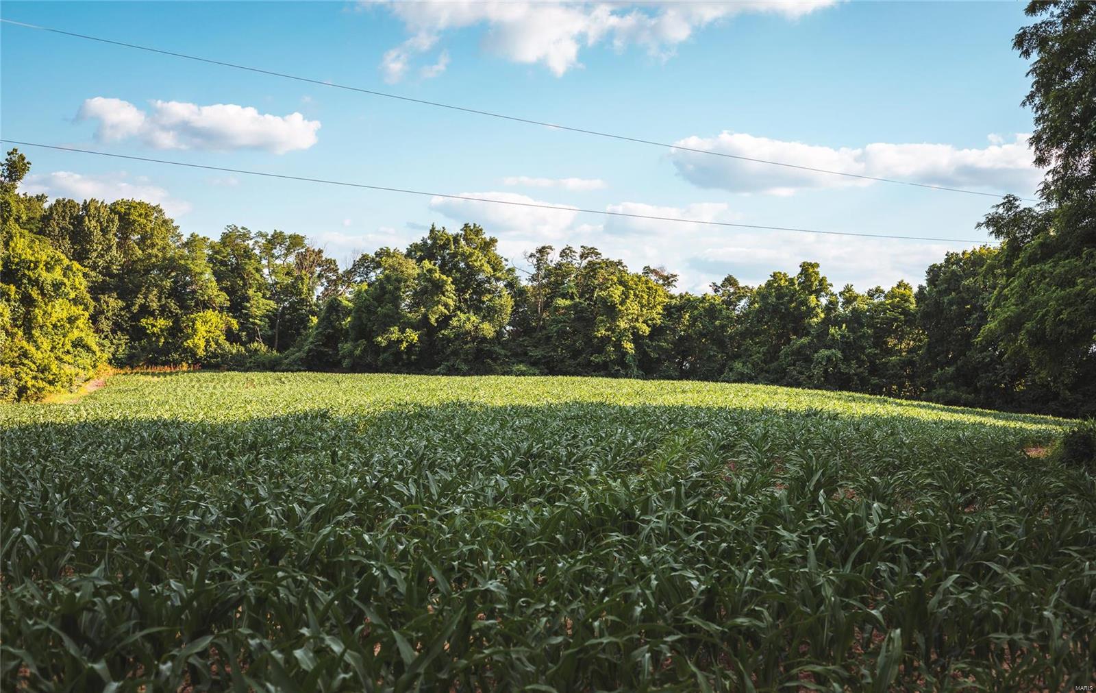 NOT IN A SUBDIVISION - Farm