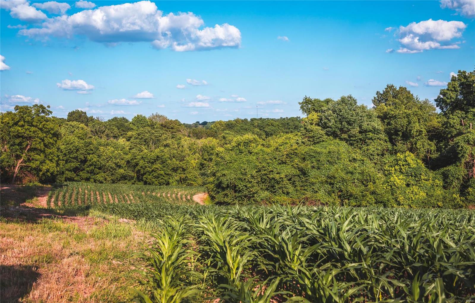 NOT IN A SUBDIVISION - Farm